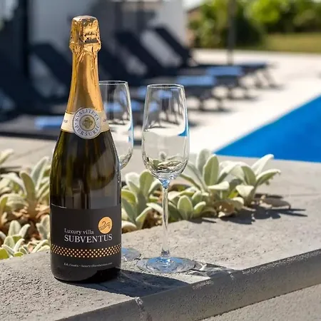 빌라 Luxury Subventus *