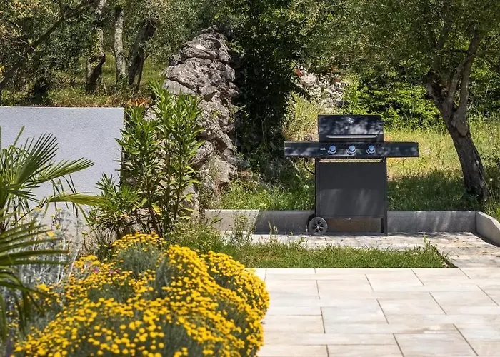 Luxury Subventus ヴィラ Bajčići