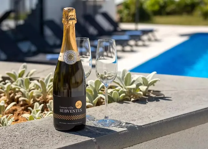 ヴィラ Luxury Subventus *