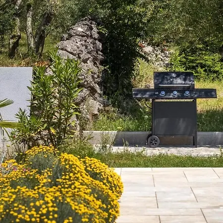 Luxury Subventus Villa Bajčići